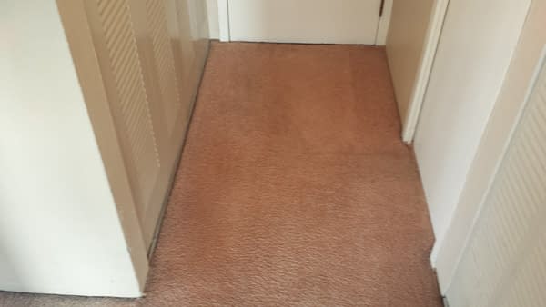 Sky Rise Carpet Cleaning Denver Sky Rise Carpet Cleaning Denver
