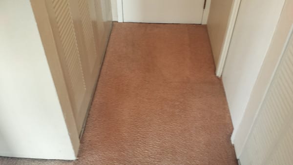 Sky Rise Carpet Cleaning Denver