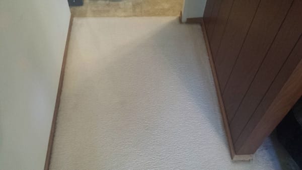 Sky Rise Carpet Cleaning Denver