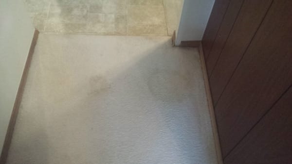 Sky Rise Carpet Cleaning Denver